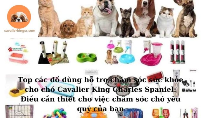 Top các đồ dùng hỗ trợ chăm sóc sức khỏe cho chó Cavalier King Charles Spaniel: Điều cần thiết cho việc chăm sóc chó yêu quý của bạn